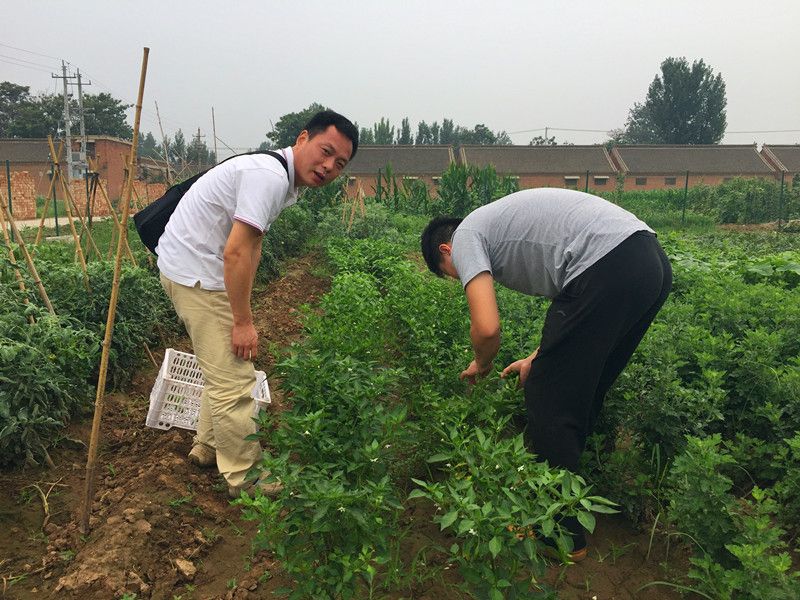 好利來郭總喊您來摘菜啦！綠色無公害，放心！